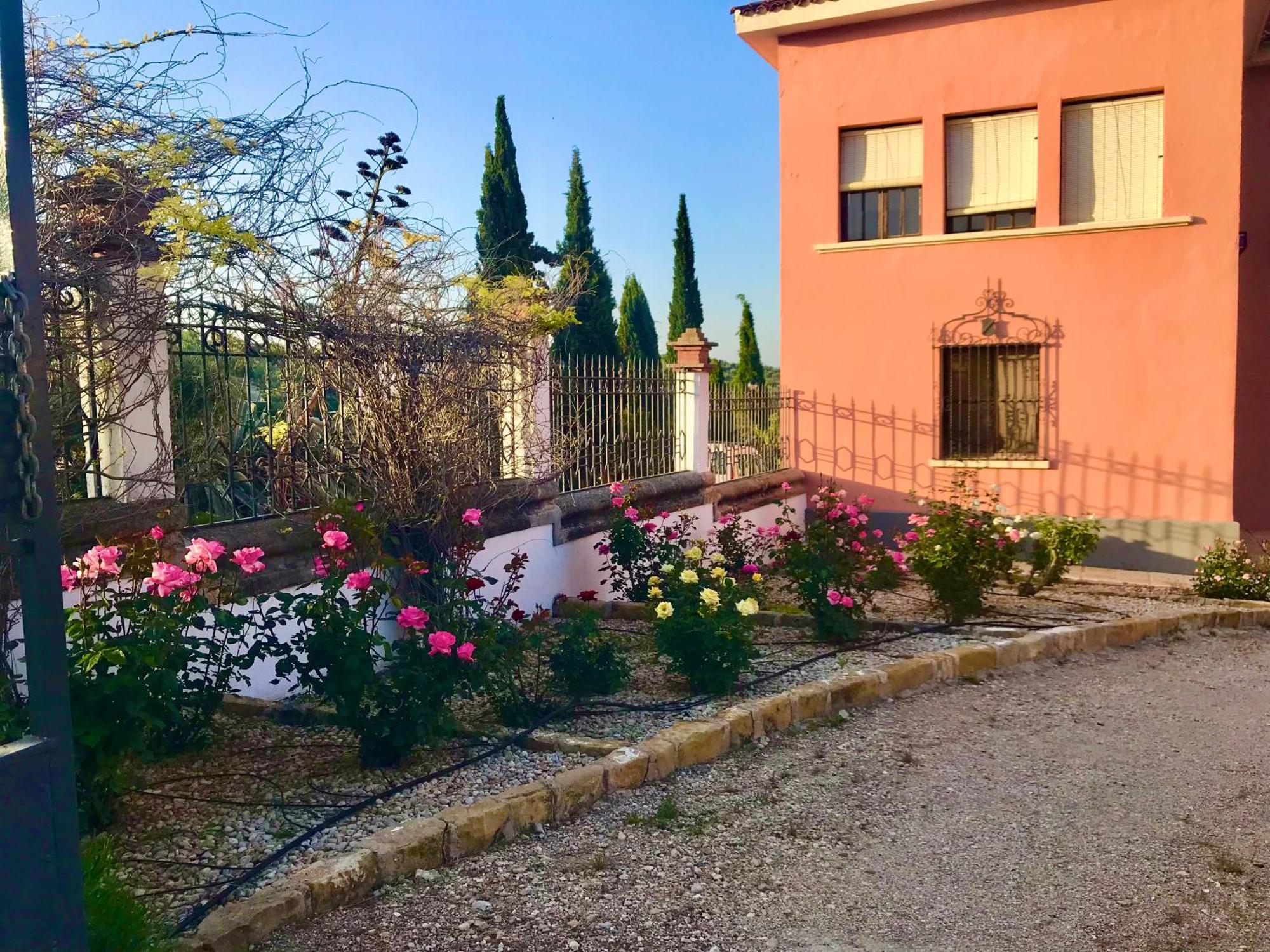Apartment La Almedina: Palacio De Foronda Cazorla