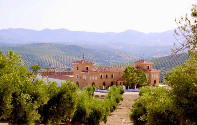 La Almedina: Palacio De Foronda Apartamento