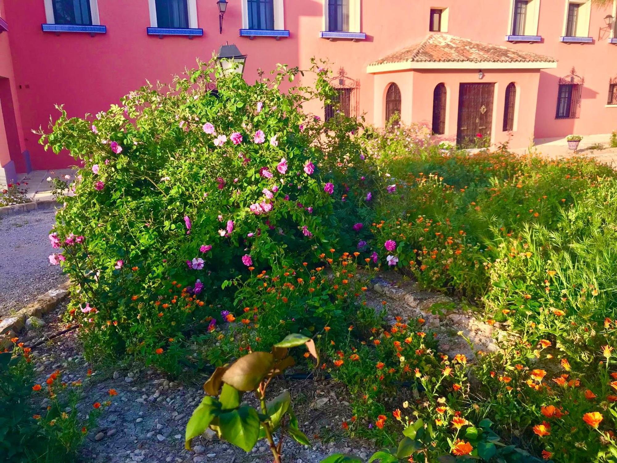 La Almedina: Palacio De Foronda Apartamento